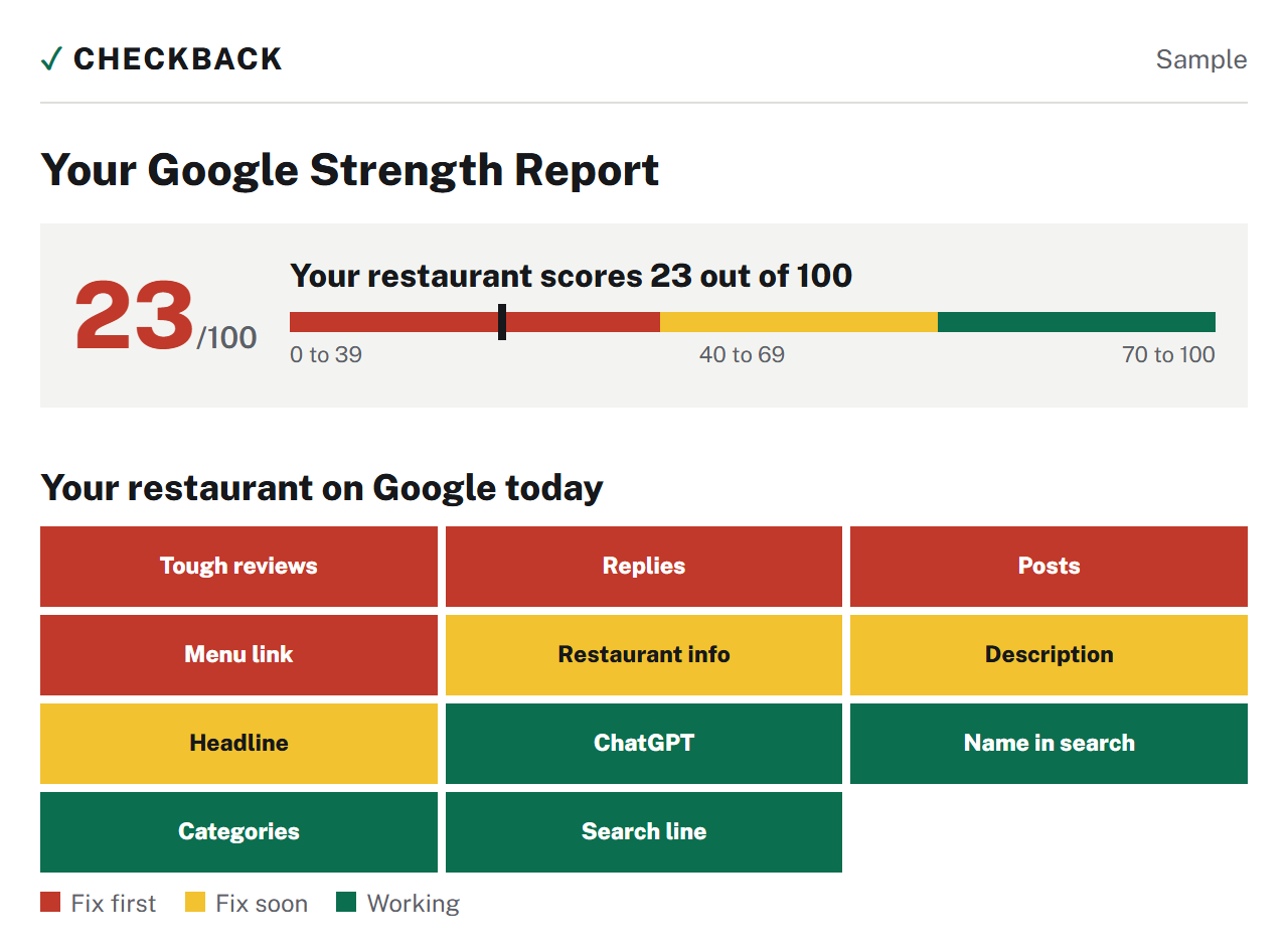 A sample Google Strength Report: a score of 23 out of 100, then a grid of checks marked fix first, fix soon or working.